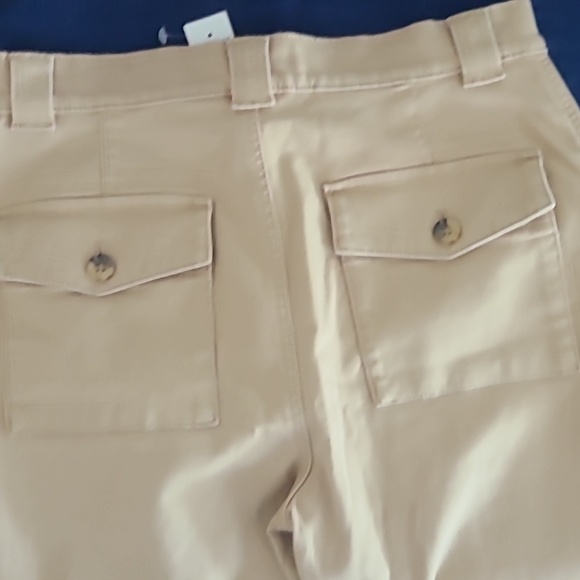 Ann Taylor Beige Trousers - Picture 4 of 4